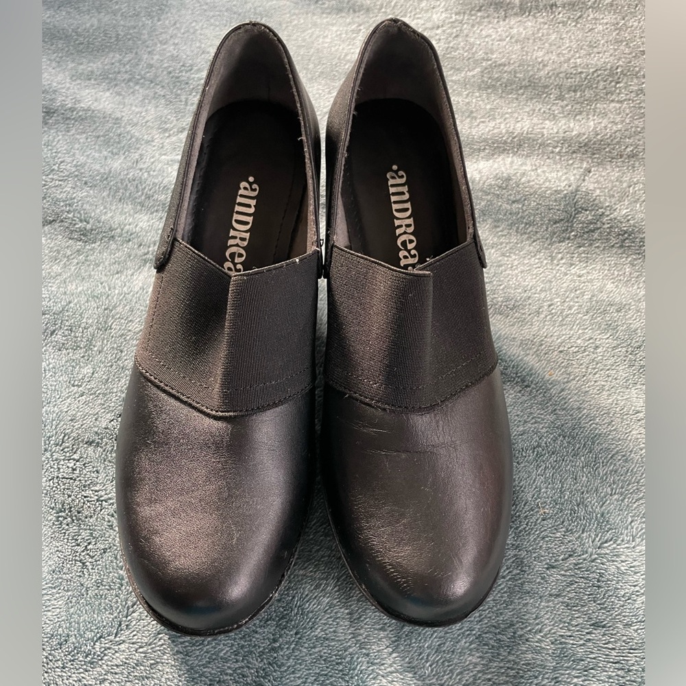 Andrea leather shoes